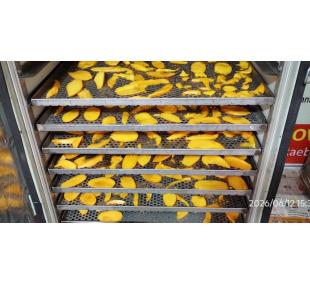 Hybrid Food Dehydrator System