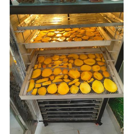 Hybrid Food Dehydrator System