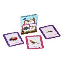 Toysaga 9-in-1 Flashcards Set: Birds &Insects