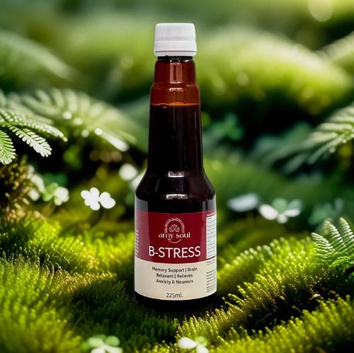 B-Stress - Ayurvedic Brain Tonic for Stress Relief, Memory & Mental Relaxation