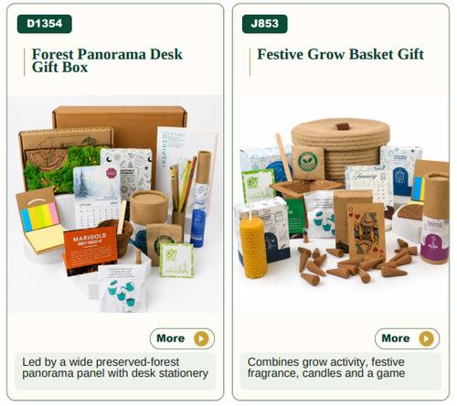 Forest Panorama Desk Gift Box/ Festive Grow Basket Gift