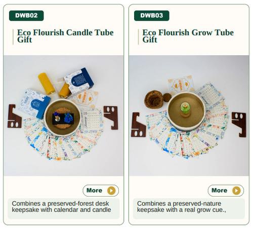 Eco Flourish Candle Tube Gift/ Eco Flourish Grow Tube Gift