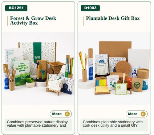 Forest & Grow Desk Activity Box/ Plantable Desk Gift Box