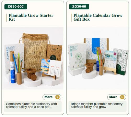 Plantable Grow Starter Kit/ Plantable Calendar Grow Gift Box
