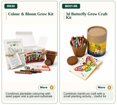 Colour & Bloom Grow Kit/ 3d Butterfly Grow Craft Kit