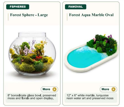 Forest Sphere/ Forest Oval