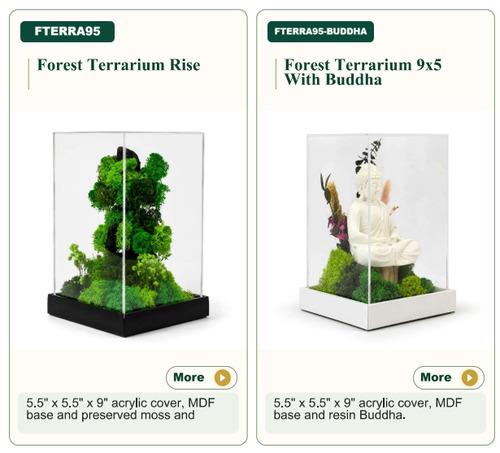 Forest Terrarium