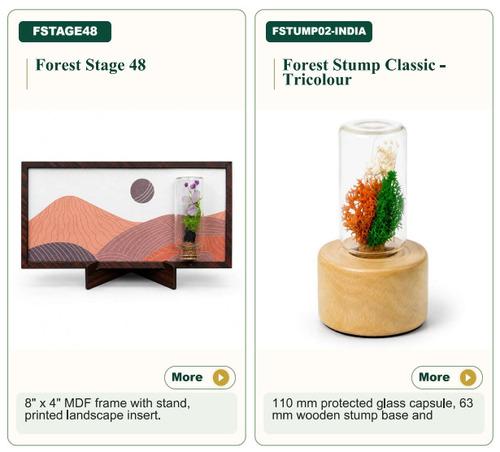Forest Stage