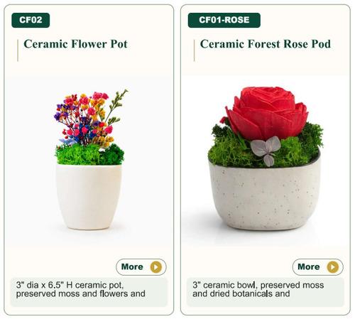 Flower Pot