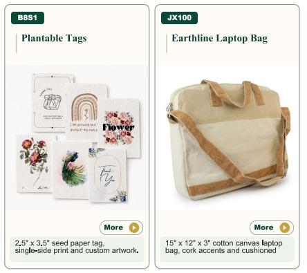 Laptop Bag/ Tag