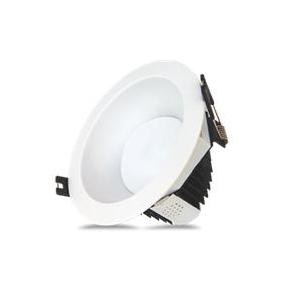 Eagle Downlight