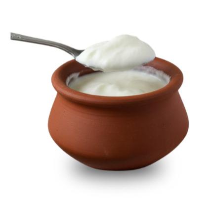Fresh Curd