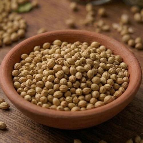 Coriander Seeds