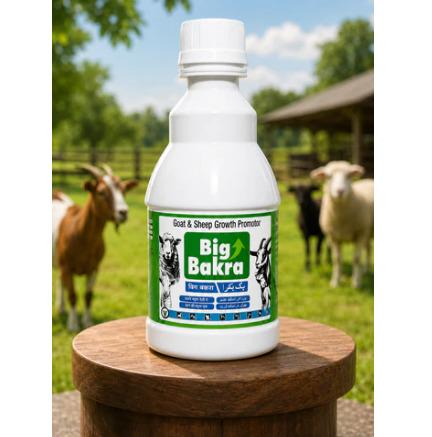 BIG BAKRA 250ML