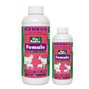 Big Bakra Female (500 ml)