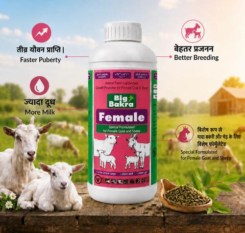 Big Bakra Female Tonic 1L