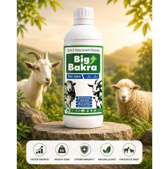 Big Bakra Tonic 1L