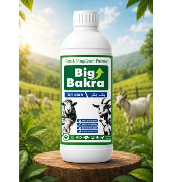 BIG BAKRA Tonic 500ML