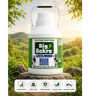 BIG BAKRA Tonic 5L
