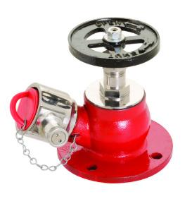 Fire Hydrant Valve