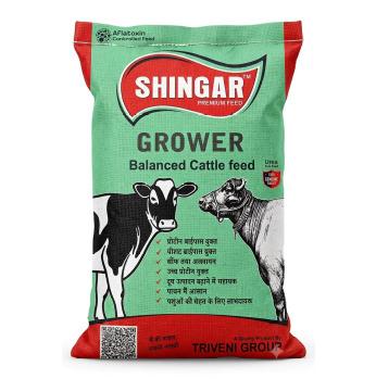 Grower Balanced Cattle Feed