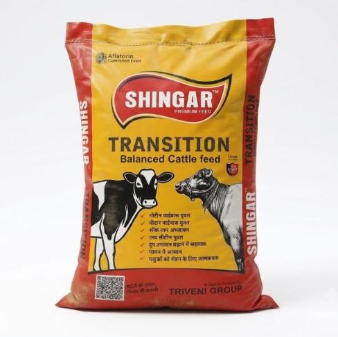 Transition Balanced Cattle Feed