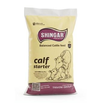 Shingar Calf Starter Balanced Cattle Feed