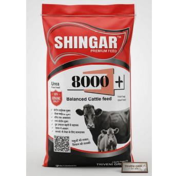 Shingar 8000+ Balanced Cattle Feed