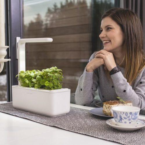 Smart Garden