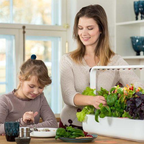 Indoor Smart Garden