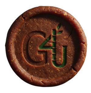Jaggery Coin
