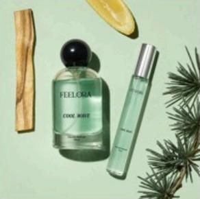 Cool Wave Perfumes