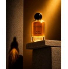 Black Orchide Perfumes