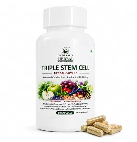 Triple Stem Cell