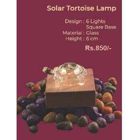 Solar Tortoise Lamp