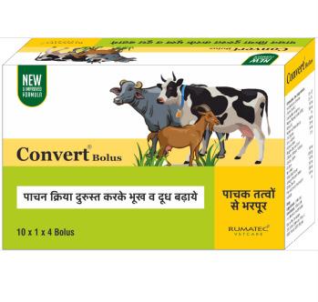 Convert Bolus ( 1 X 4 )
