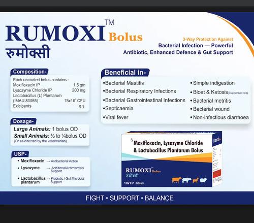 Rumoxi Bolus (10 x 1 x 1)