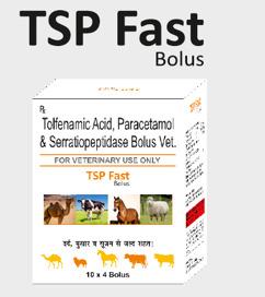 TSP Fast Bolus 10 x 4 Bolus