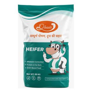 Heifer