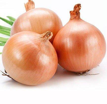 Onion