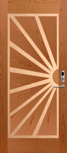 Veneer Door
