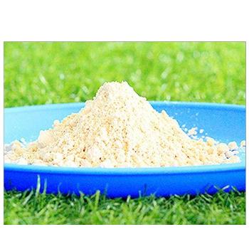 Tamarind Kernel Powder  