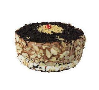 Chocolate Ice Cream Cake