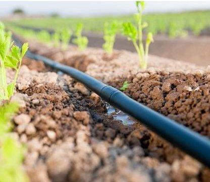 Irrigation System