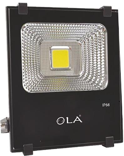 100 W Flood Light