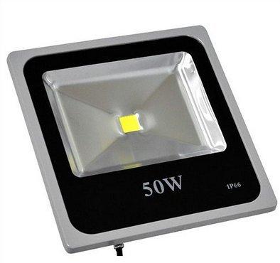 50 Watt Flood Light