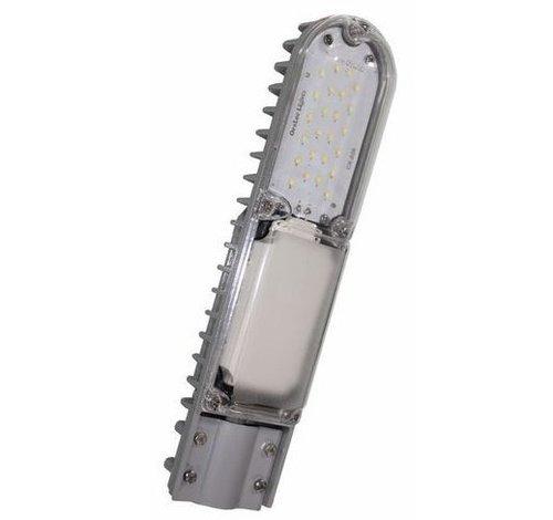 Dolphin Street Light