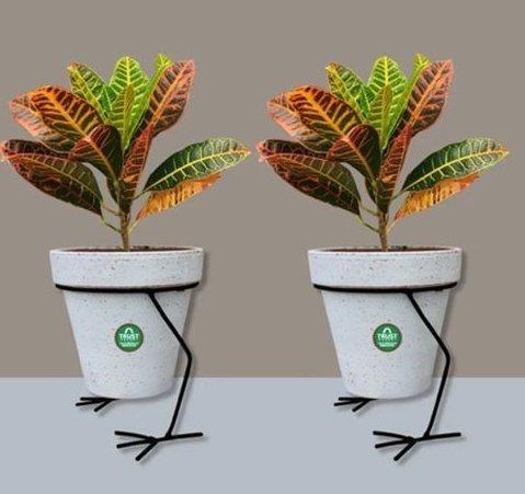 Indoor Flower Pot Stand