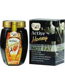 ACTIVE HONEY 500 GM 