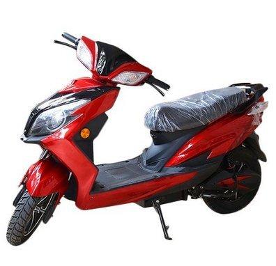 ECO Electric Scooter 